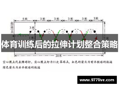 体育训练后的拉伸计划整合策略
