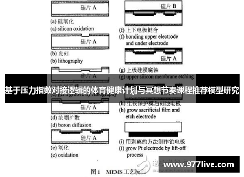 基于压力指数对接逻辑的体育健康计划与冥想节奏课程推荐模型研究