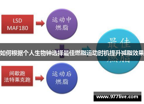 如何根据个人生物钟选择最佳燃脂运动时机提升减脂效果