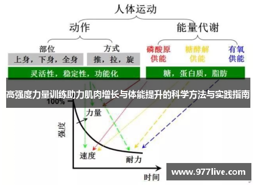 高强度力量训练助力肌肉增长与体能提升的科学方法与实践指南