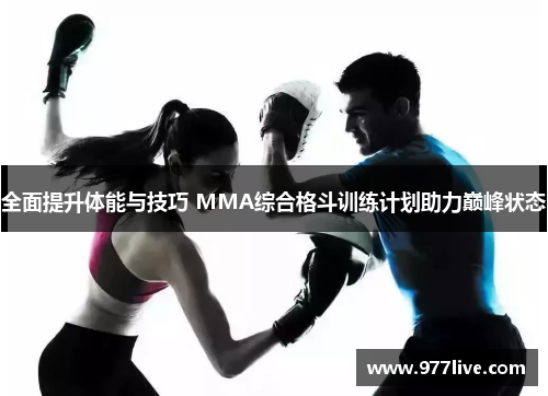 全面提升体能与技巧 MMA综合格斗训练计划助力巅峰状态