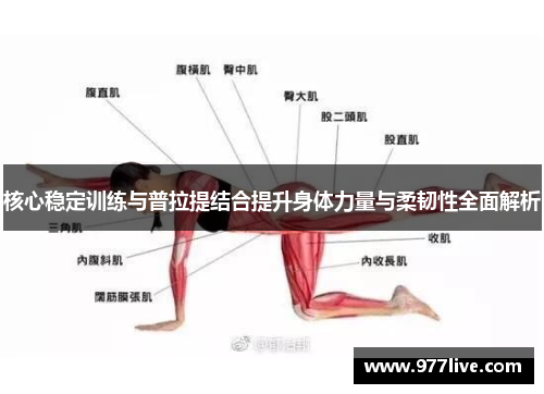 核心稳定训练与普拉提结合提升身体力量与柔韧性全面解析