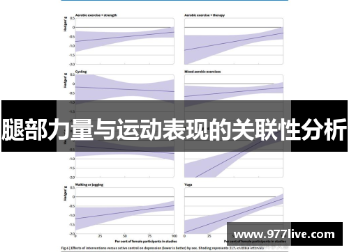 腿部力量与运动表现的关联性分析